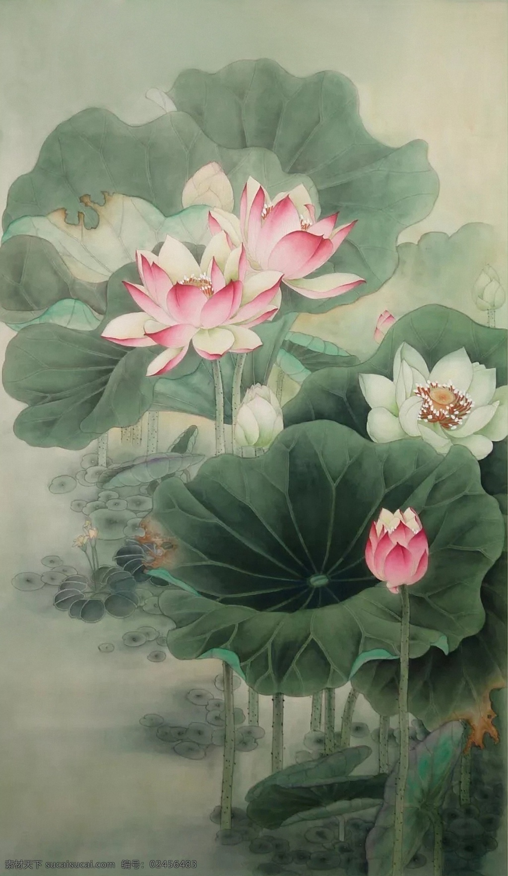 工笔画 荷花 中国画 亭亭玉立 油画 莲花 风姿绰约 玉洁冰清 国画 文化艺术 传统文化