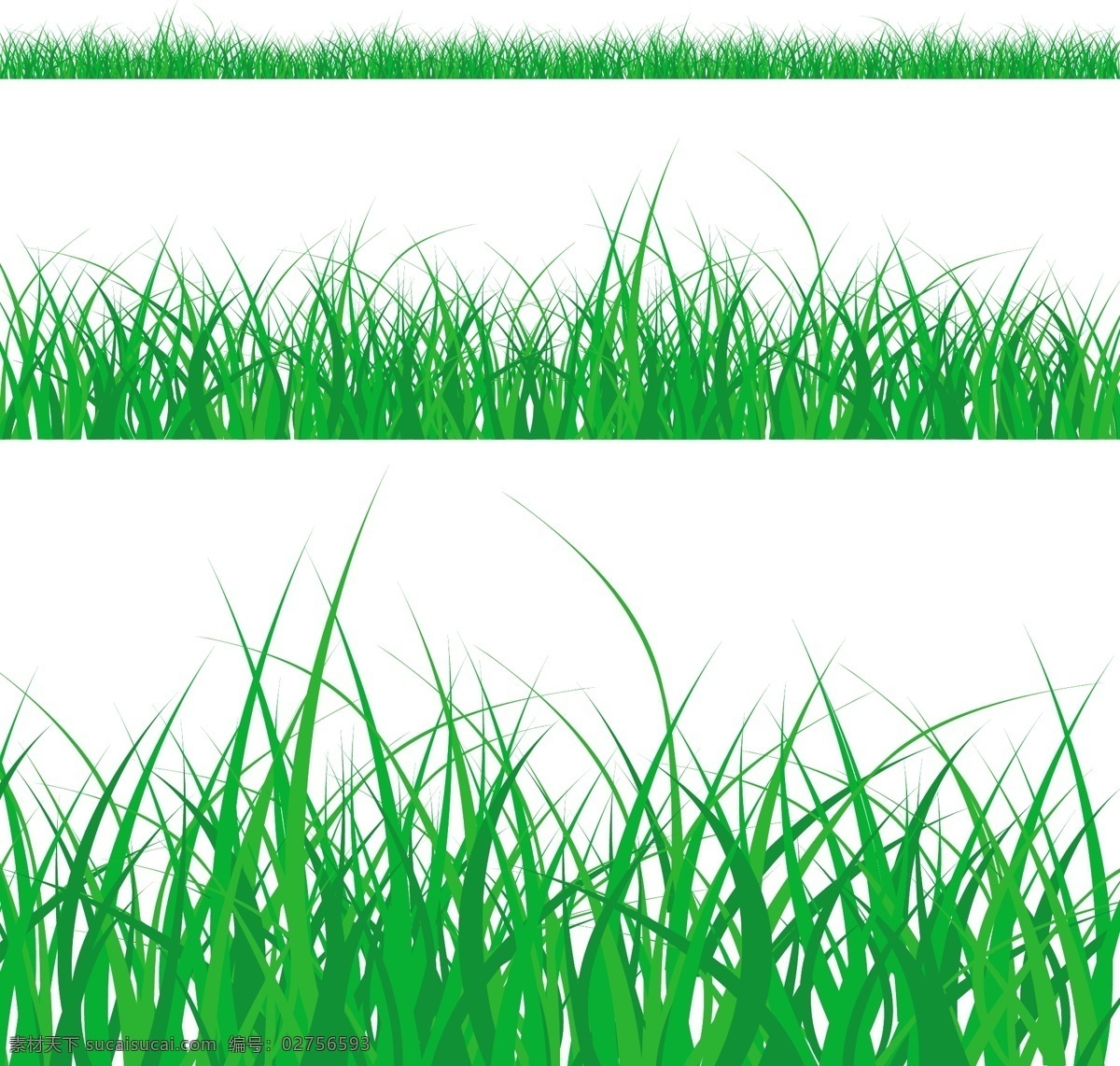 椰子树 草 向量 灌木 矢量植物 矢量图 日常生活