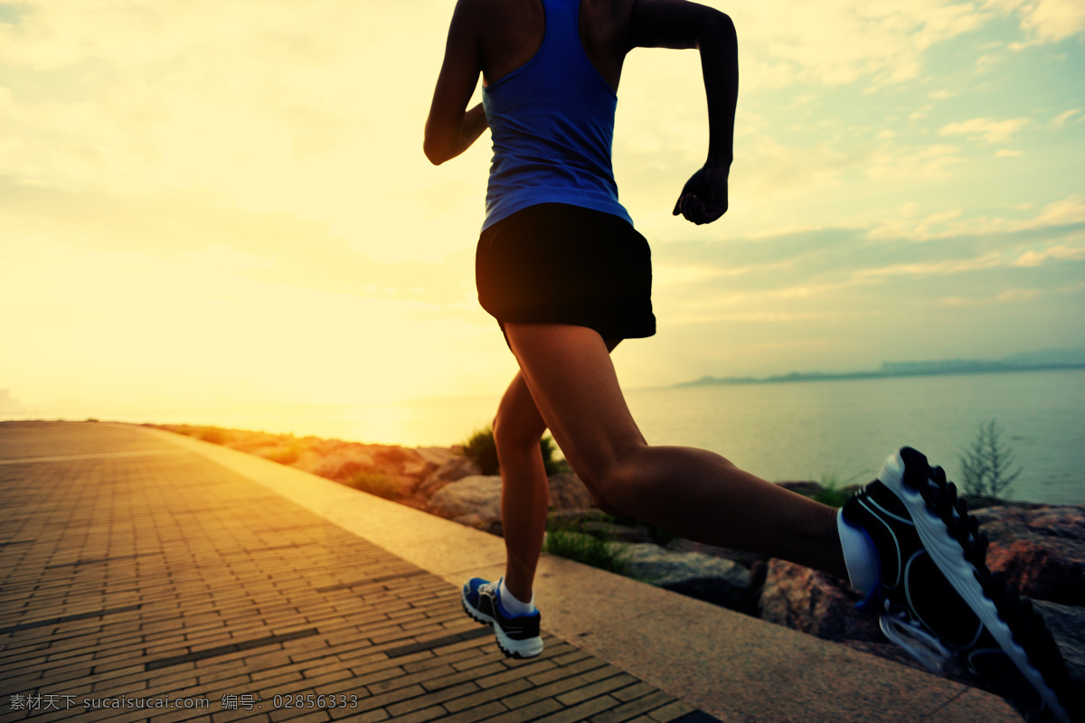 跑步健身的人 跑步 健身的人 阳光 朝阳 跑步健身 运动 锻炼 健身 人物图库 日常生活