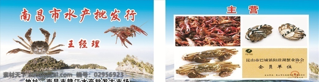 水产 海鲜 水产名片 水产名片模板 水产名片素材 水产名片背景 水产名片欣赏 水产名片制作 水产名片图 水产名片底 名片 名片卡片