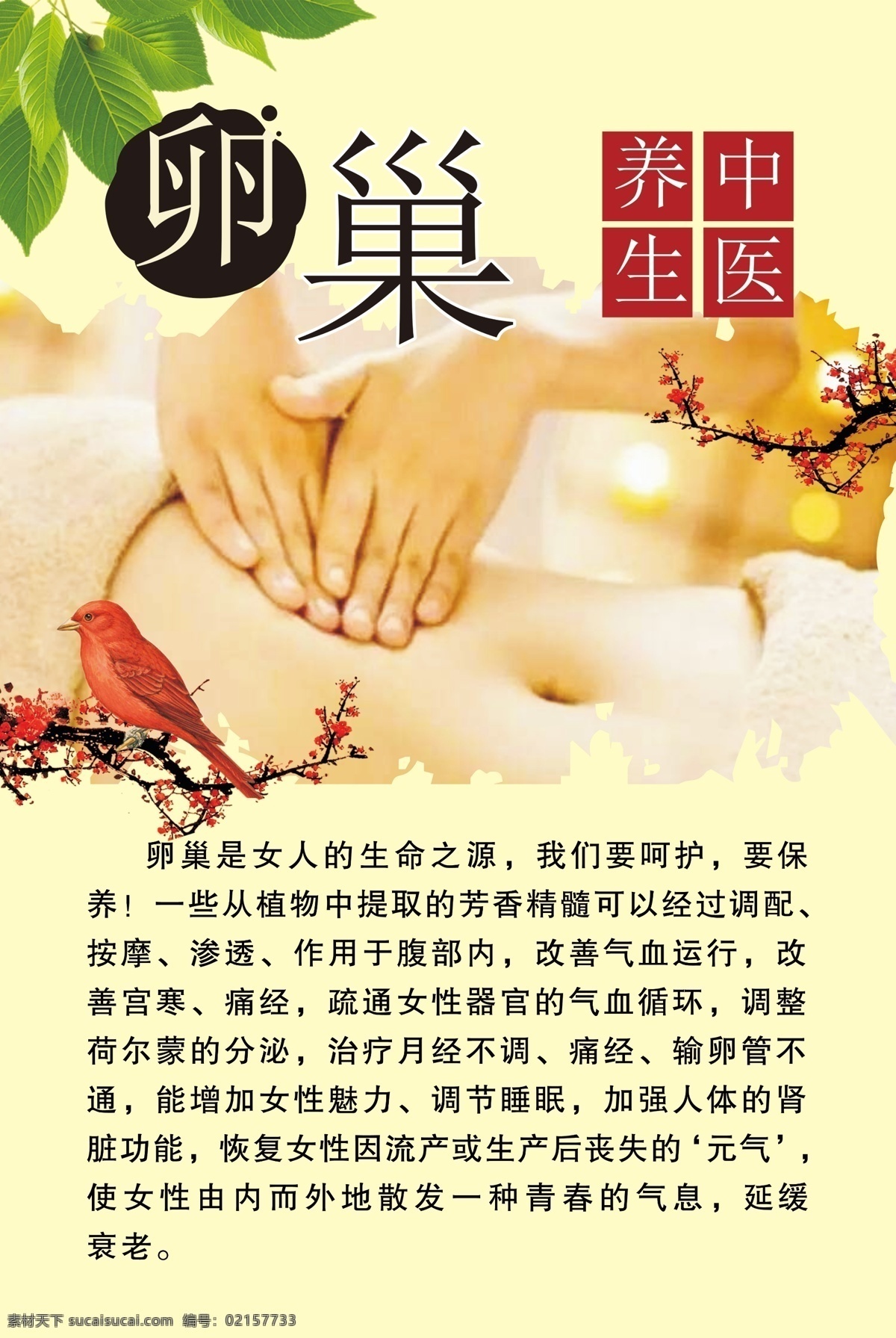 卵巢保养 养生标语 标语 美容 美容养生 拔罐 拔罐养生 足道 推拿 养生 美容养生宣传 美容宣传单 美甲宣传单 美容彩妆 美睫纹眉 美睫纹眉广告 整形 瘦身 美女美容 美女护肤 美容海报 美容美体 减肥 瘦脸 美容图 美容广告 美容背景 美容素材 美容展架 美容活动 中医养生 美容养生系列 分层