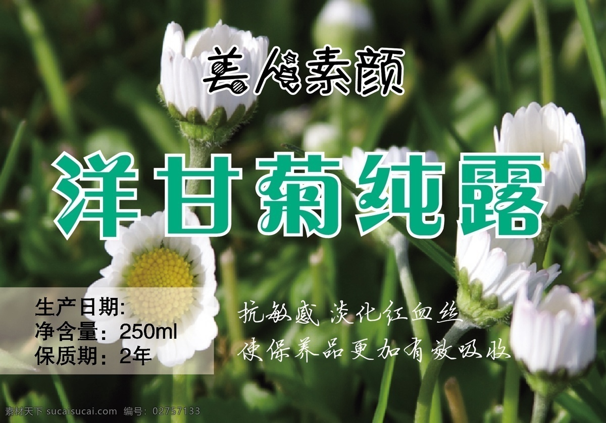 洋 甘 菊 纯 露 瓶 贴 美人 瓶贴 洋甘菊纯露 素颜 矢量图