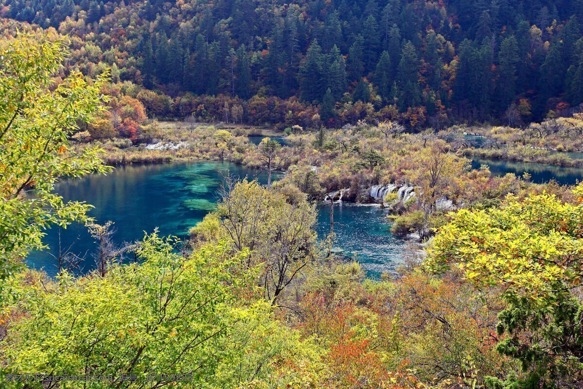 九寨沟 树木 青山 绿水 青山绿水 倒影 风景 自然风景 旅游摄影 自然景观