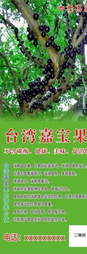 嘉宝 果 展架 海报 嘉宝果展架 嘉宝果海报 嘉宝果广告 嘉宝果功效 台湾嘉宝果