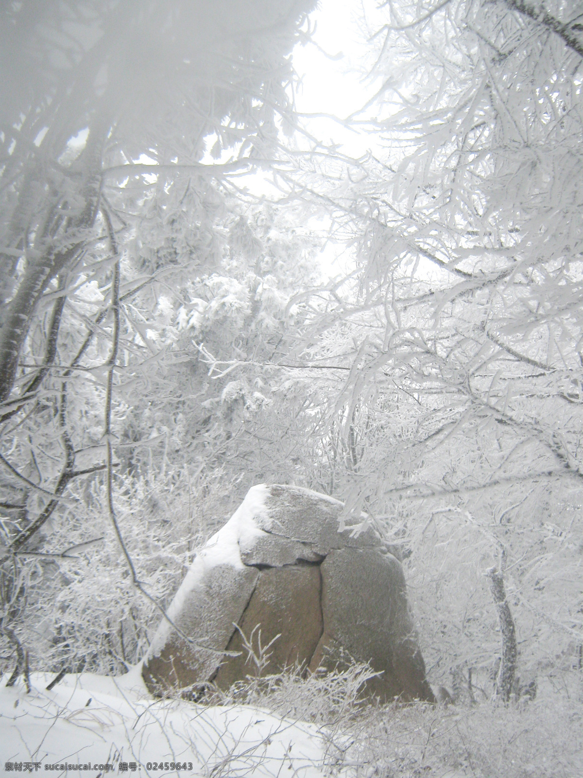 雪景 冬季 雪山 崂山 雪 国内旅游 旅游摄影 灰色