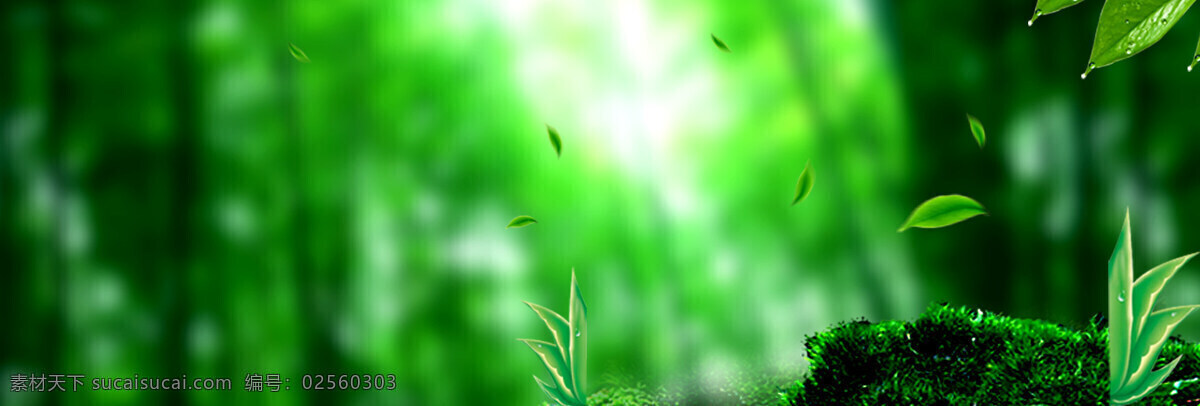 绿色 树林 banner 背景 梦幻 植物