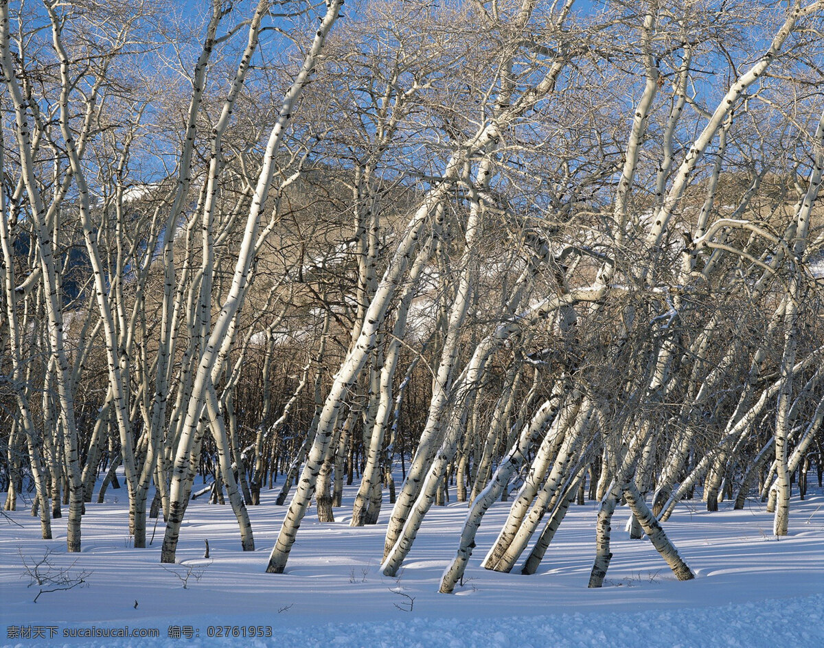 冬天 雪景 白雪 背景 冬天雪景 风光 风景 季节 摄影图库 自然 自然景观 自然风景 生活 旅游餐饮
