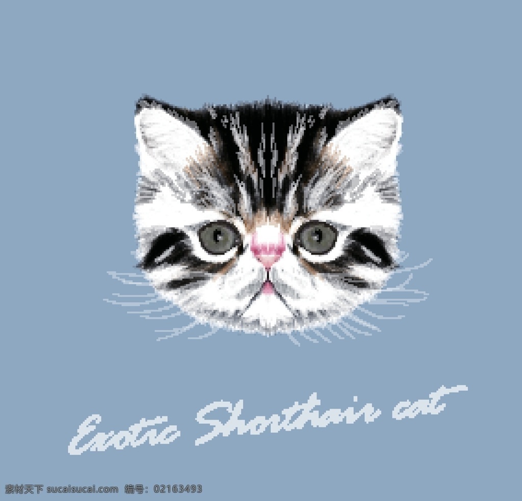 猫图片 猫狗 卡通 动漫 背景 广告 海报 猫头 动物 涂鸦 t恤图案 印花 手绘 动漫动画 包装图案 明信片 贺卡