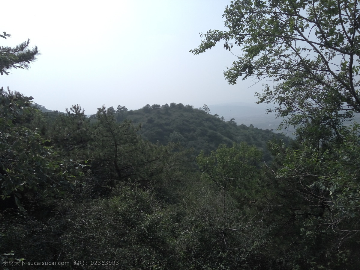 风景图 大气图 会当临绝顶 一览众山小