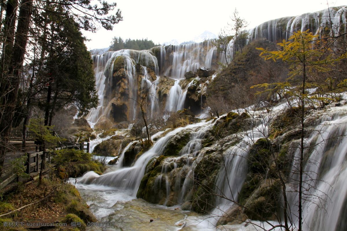 九寨沟 瀑布 风光 四川 风景 流水 绿树 山水风景 自然景观