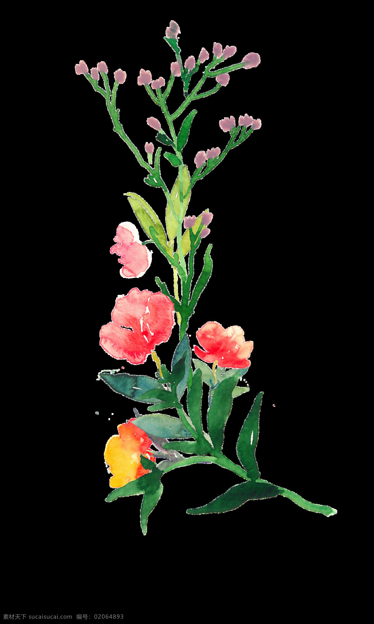 自由 花束 透明 花朵 花丛 透明素材 免扣素材 装饰图案