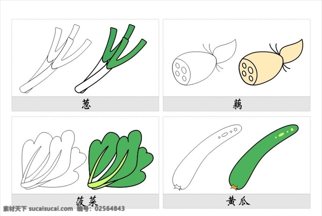 植物简笔画 蔬菜简笔画 儿童简笔画 儿童画 葱 藕 菠菜 黄瓜 矢量 简图