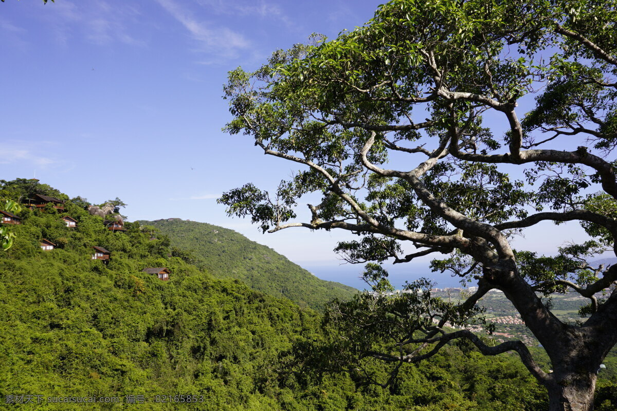 青山绿树 青山 绿树 蓝天 海南 亚龙湾 热带森林 大树 春天 风景 自然景观 自然风景