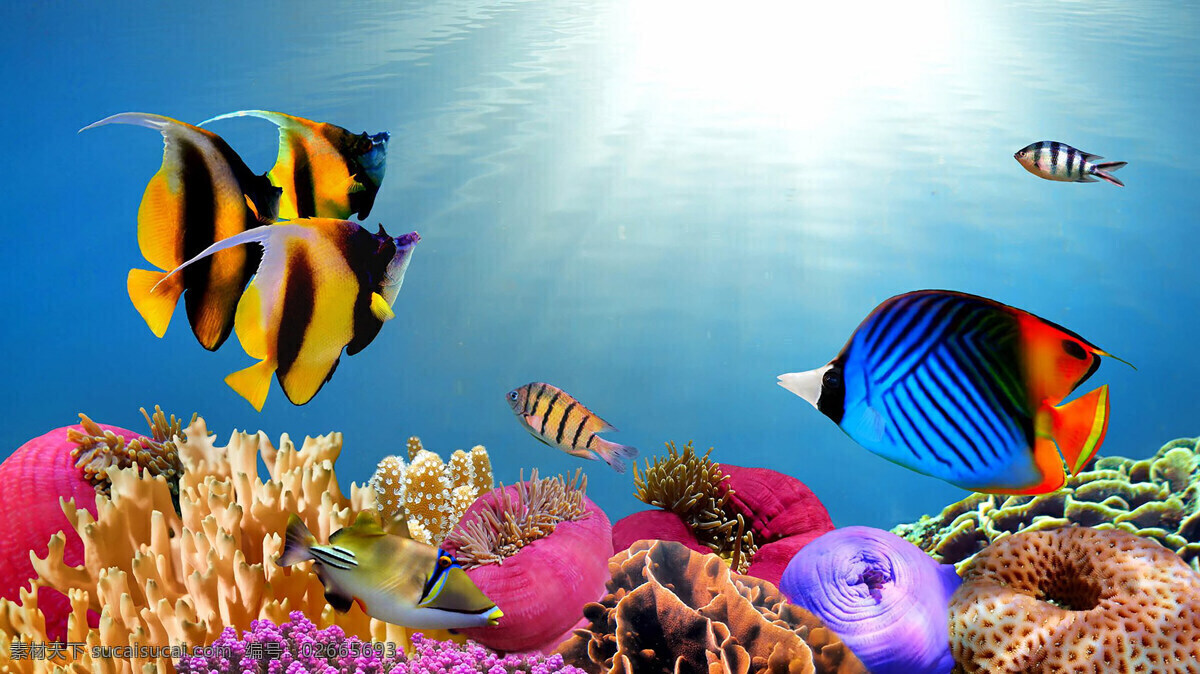 海洋世界 海底 大鱼 鱼类 海底世界 海洋生物 鱼类海鱼 海洋馆 鱼群摄影 野生动物 鱼类摄影 水下摄影 大海风景 生物世界