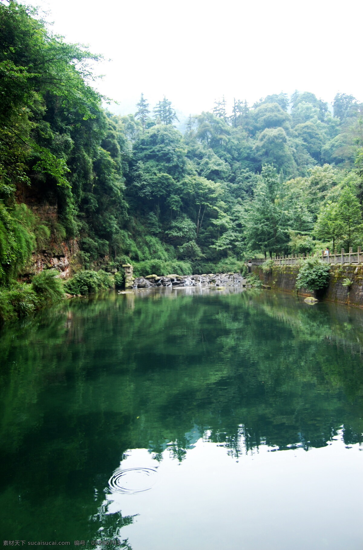 大自然 美丽 宁静 树木 水中倒影 平静的水面 亮亮的天空 风景 生活 旅游餐饮