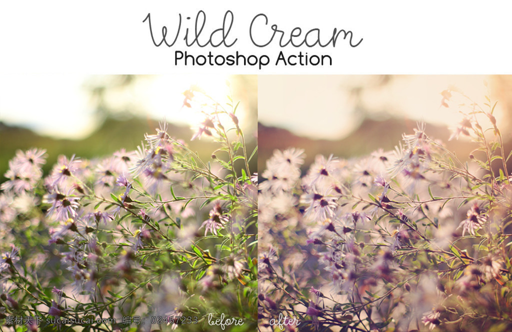 外景 照片 唯美 暖色 效果 调色 动作 ps动作 ps素材 wild cream actions 照片处理 外景处理 调色动作 清新色调 暖色效果 柔美效果 暖黄色调 日系效果 柔黄色调 小清新色调 青绿色调 甜美效果 后期动作