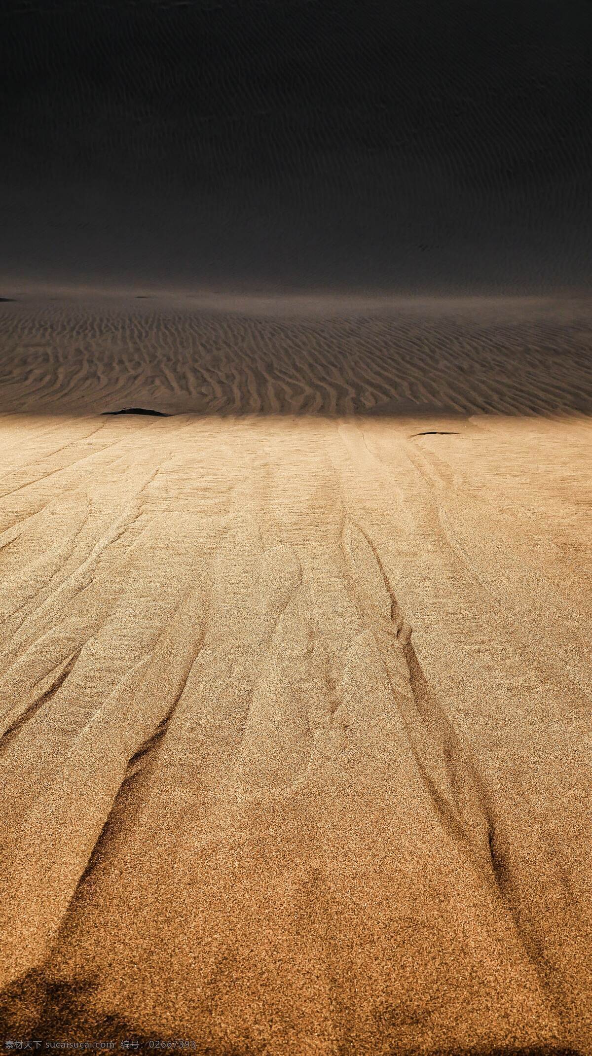 沙子 沙漠 黑夜 沙滩 分化 淡化 自然景观 自然风景