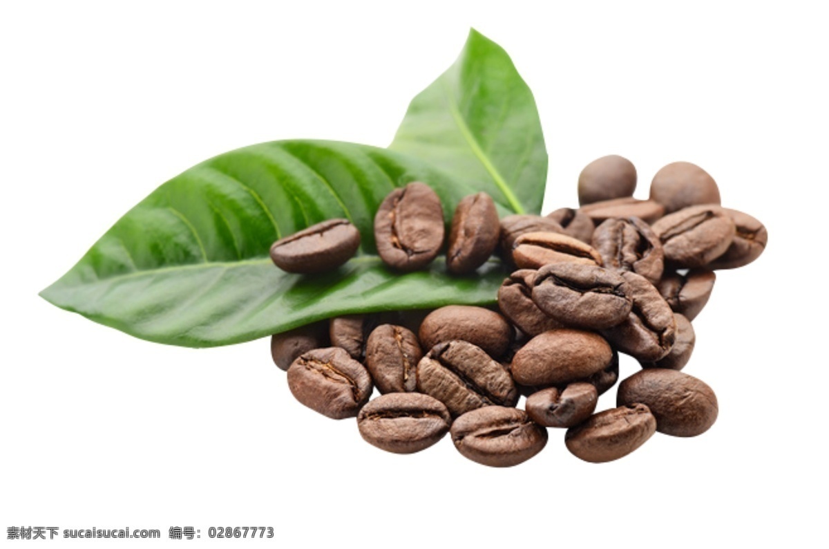 咖啡 颗粒 一捧咖啡豆 咖啡叶子 咖啡素材 素材图