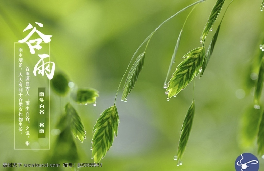 二十四 节气 谷雨的由来 下雨天气 自然景观 自然风光