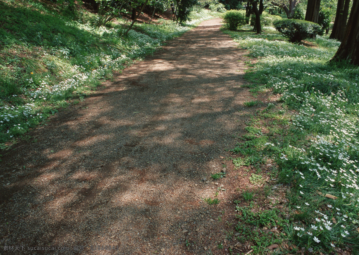 乡村 公路 大树 旅游 景区 公园 自然风光 道路 道路摄影 交通 公路图片 环境家居