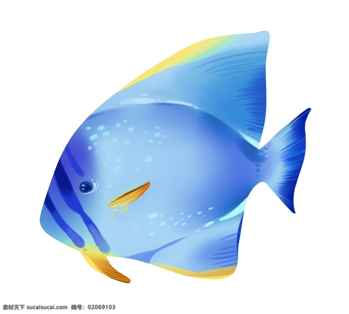 蓝色海洋小鱼 小鱼 动物 海洋生物