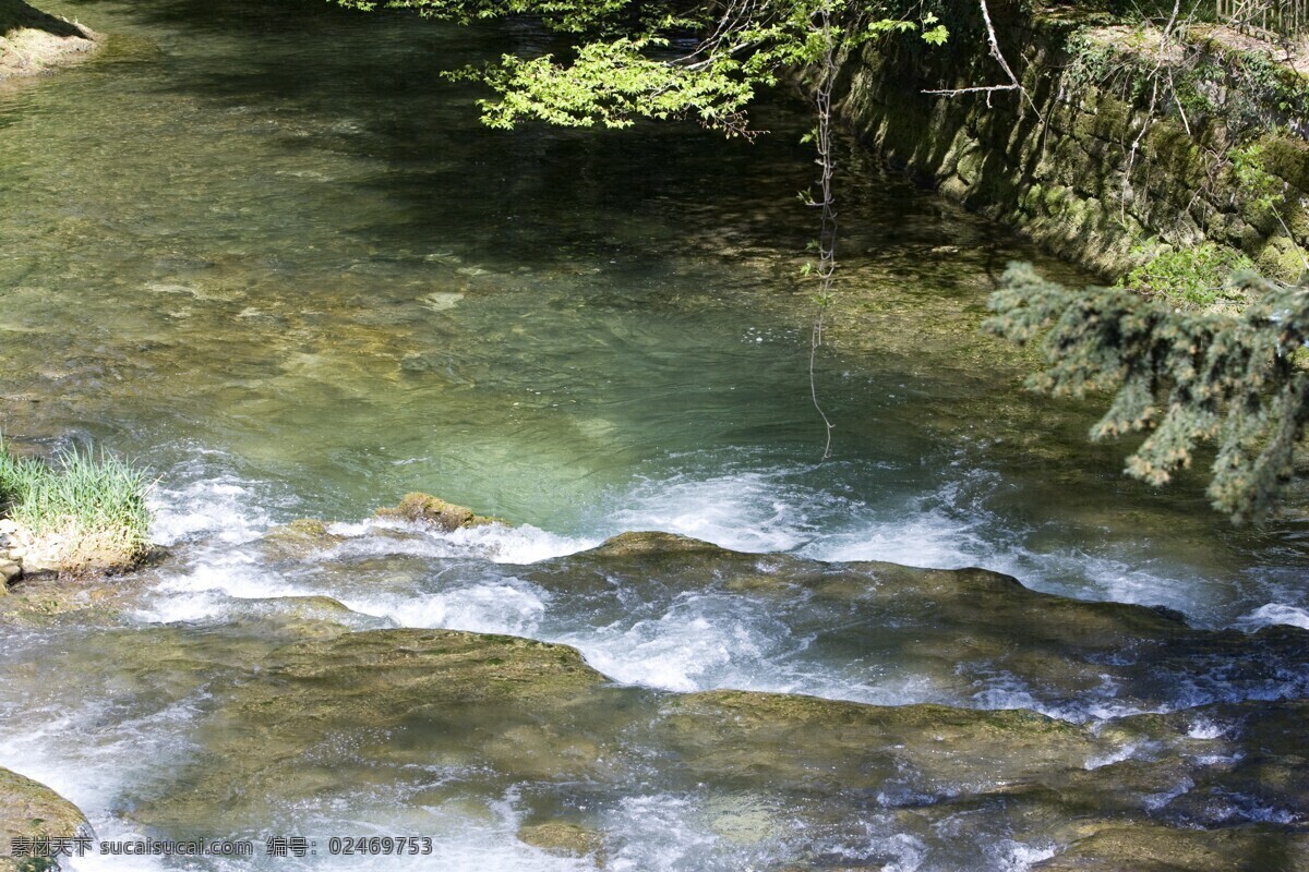 林中 清澈 溪水 河流 度假 风景 美景 景色 自然景观 自然风景 旅游摄影 旅游 山水风景 风景图片