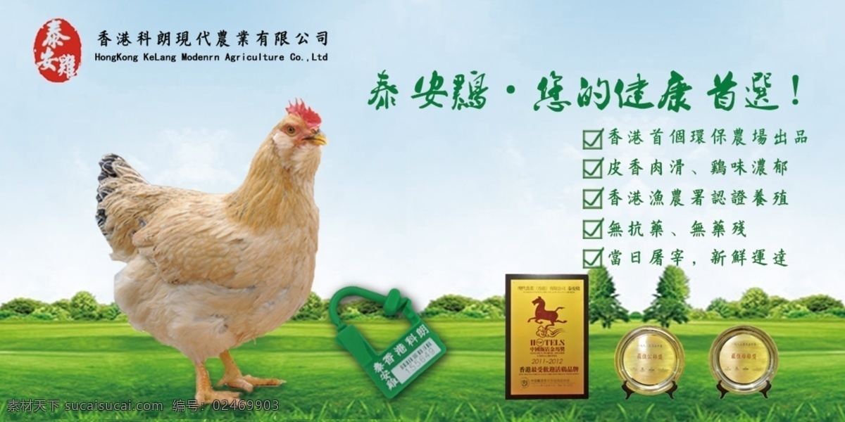 鸡蛋 banner 泰安雞 香港品牌 50年历史