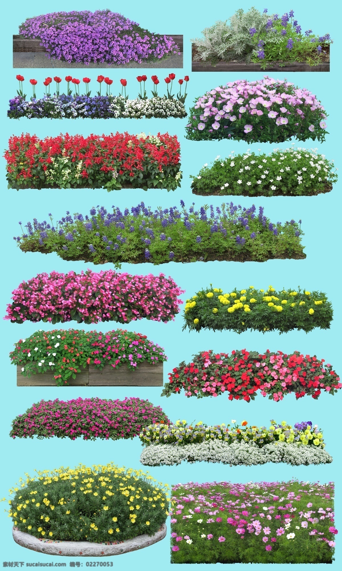 扣好花素材 花丛 花奔 花会 植物 叶子 花 园景 绿叶 花朵 分层 源文件库