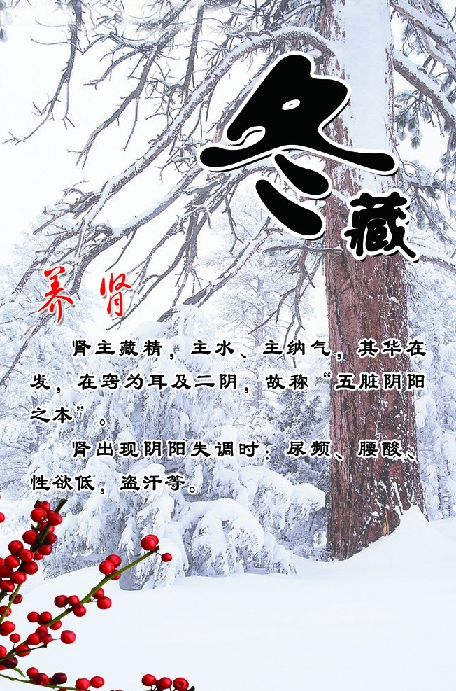 冬藏养肾 冬藏 养肾 雪景 梅花 养生展板 美容院 分层 源文件