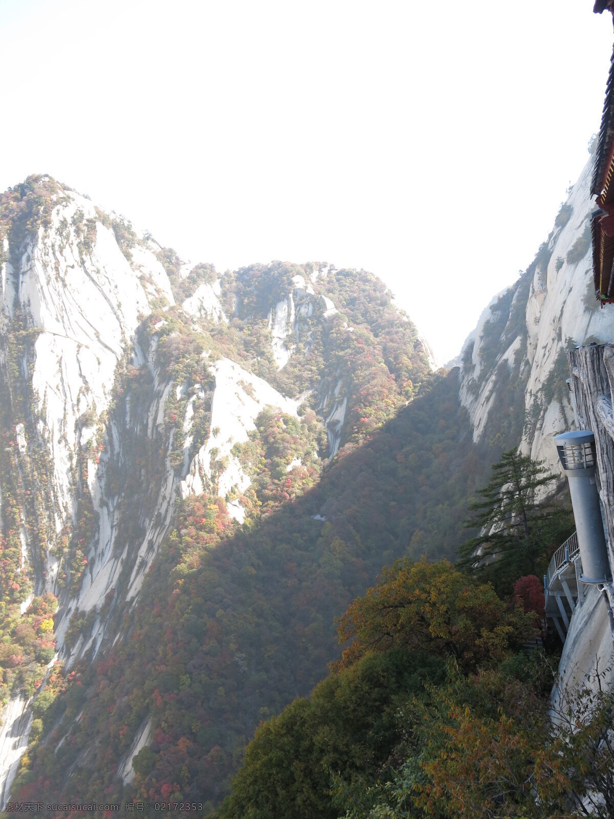 华山风光 华山一角 华山 山崖 华山山景 华山美景 华山风景 华山树丛 树木 大山 石山 山林 华山雪松 华山旅游 华山中峰 华山松树 西岳华山 华山东峰 五岳 赵匡胤 朝阳峰 华山亭子 名山大川 华山标志建筑 陕西旅游 群山起伏 华山地标 华山云海 云雾 云海 高清华山照片 自然景观 风景名胜 白色