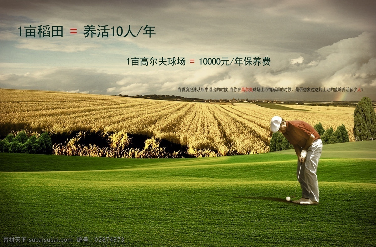 高尔夫 稻谷 粮田 高尔夫选手 草地 广告设计模板 源文件