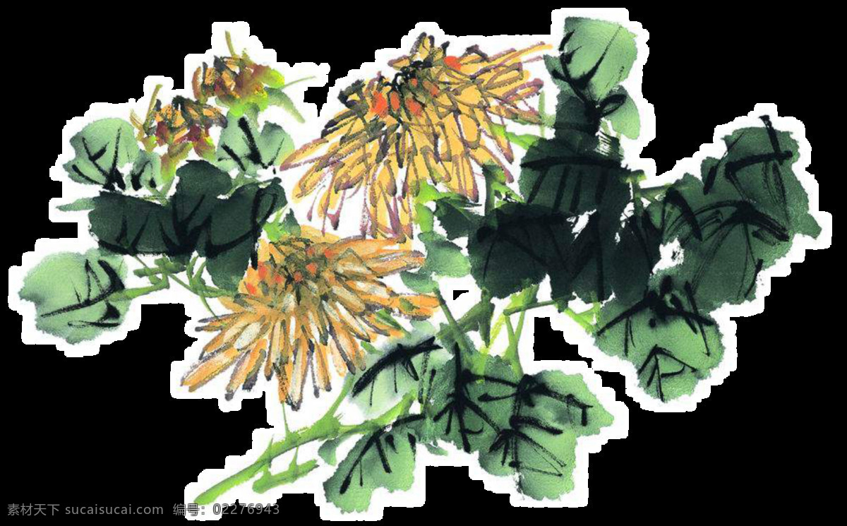 古风 深色 花枝 手绘 菊花 装饰 元素 美丽 深色花朵 深色叶子 植物 装饰元素