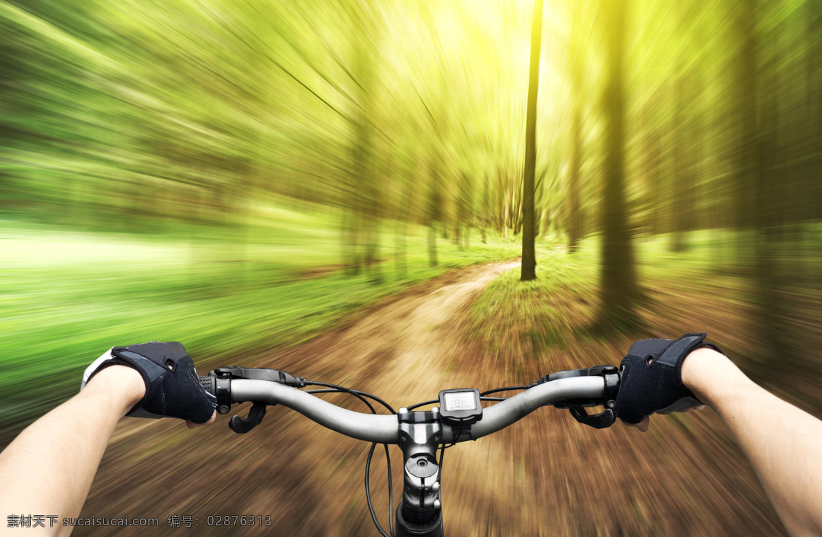 树林 里 自行车 山地自行车 越野自行车 快速主题 速度 汽车图片 现代科技