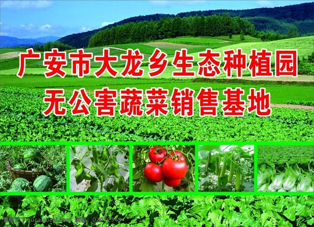 广安蔬菜基地 绿色 生态基地 大龙基地 室内广告设计