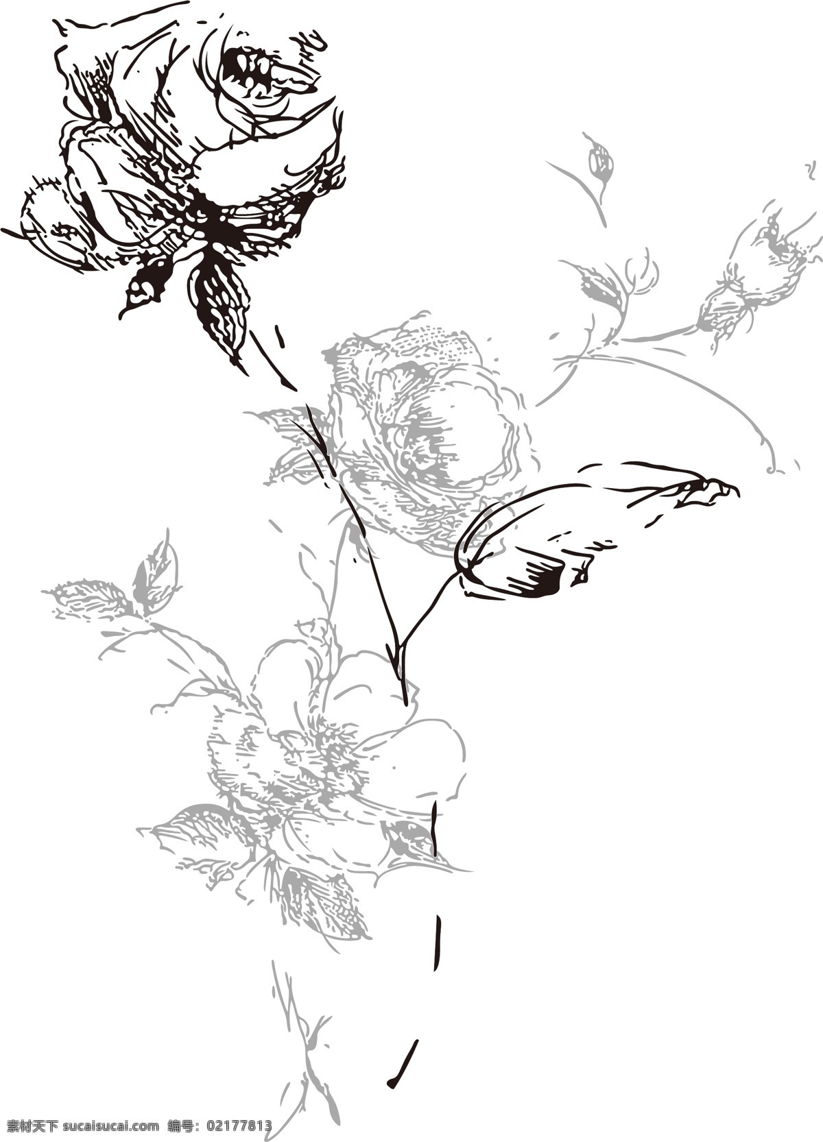 矢量玫瑰花 手绘花 花卉 植物花草 设计素材 印花素材 纺织印花 花纸设计 矢量花朵 抽象花型 花纹边框 文化艺术 绘画书法
