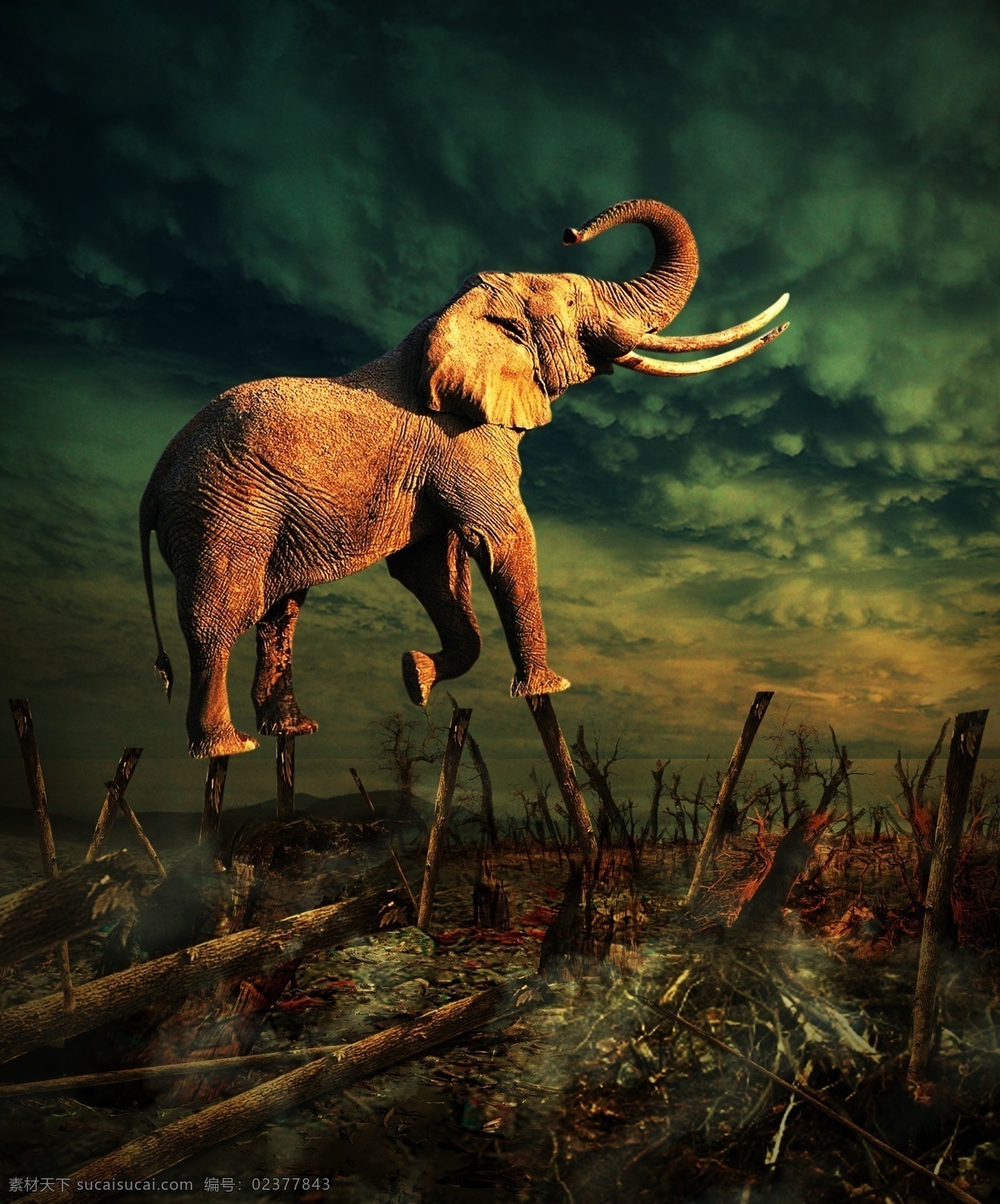 踩树的大象 梦幻 创意 创新 背景 组图 城堡 电影 海报 封面 大象 广告设计模板 源文件