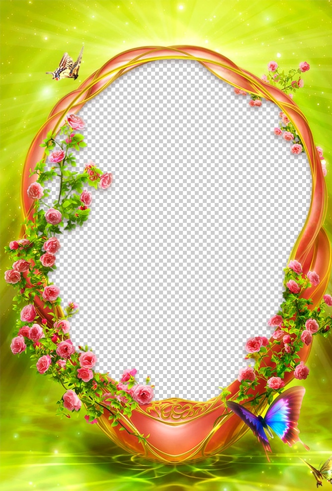 边框相框 边框 花纹 花边 角边 矢量边框 欧式花边 欧式边框 精美边框 欧式 精美 时尚 黑白 流行 矢量 黑色花边 矢量花边 古典边框 古典花纹边框 精美花纹边框 矢量花纹边框 婚庆花纹边框 自然 素材图片 背景 装饰 绿色
