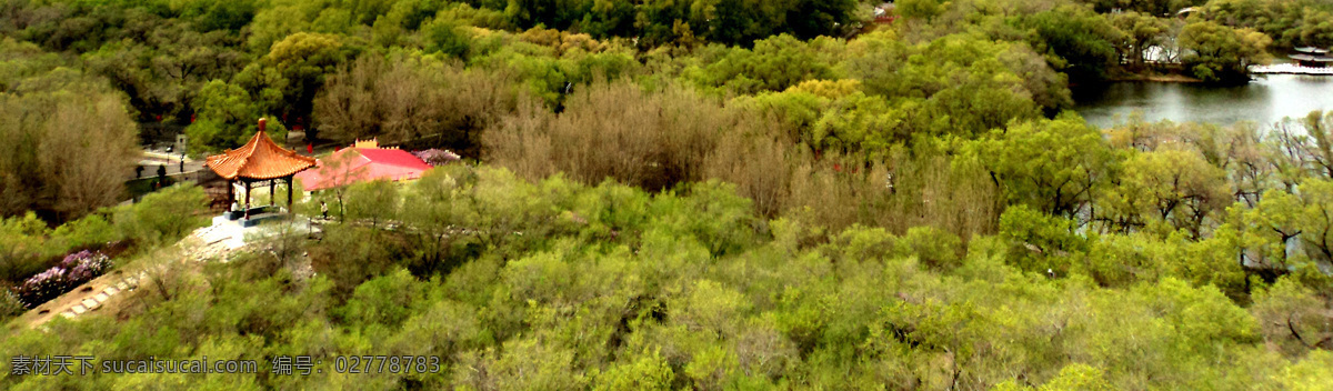 龙沙 公园 上 河图 龙沙公园 齐齐哈尔 鸟瞰图 全景 树 园林绿化 自然景观 自然风景