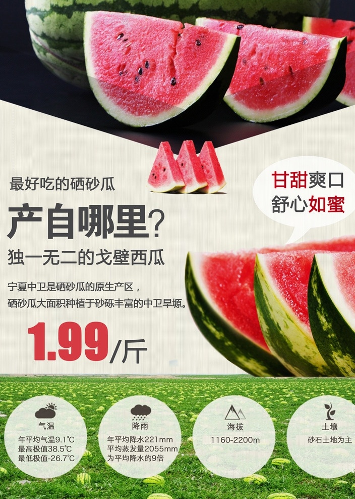 硒砂瓜 西瓜 石头瓜 瓜 夏天西瓜