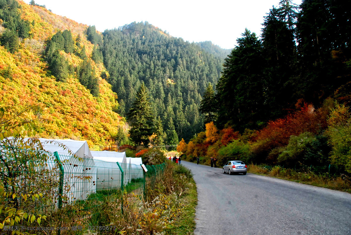 兰州兴隆山 兰州 兴隆山 秋天 秋景 自然景观 自然风景