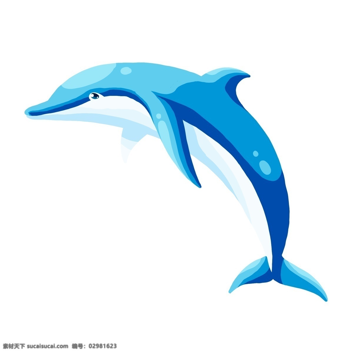 可爱蓝色海豚 海底 水生 动物