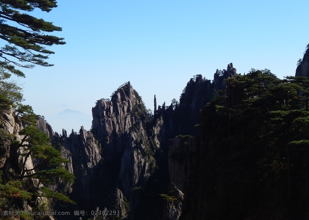 黄山风光 黄山旅游 黄山美景 黄山云海 旅游 云海 松树 高山 风景名胜 自然景观 安徽黄山 黄山秋色 黄山 安徽旅游景点 黄山景色 黄山山峰 山峰