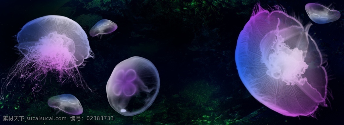 梦幻 水母 紫色 海洋生物 商务 背景 梦幻水母 紫色水墨 渐变水母 黑色背景 海洋