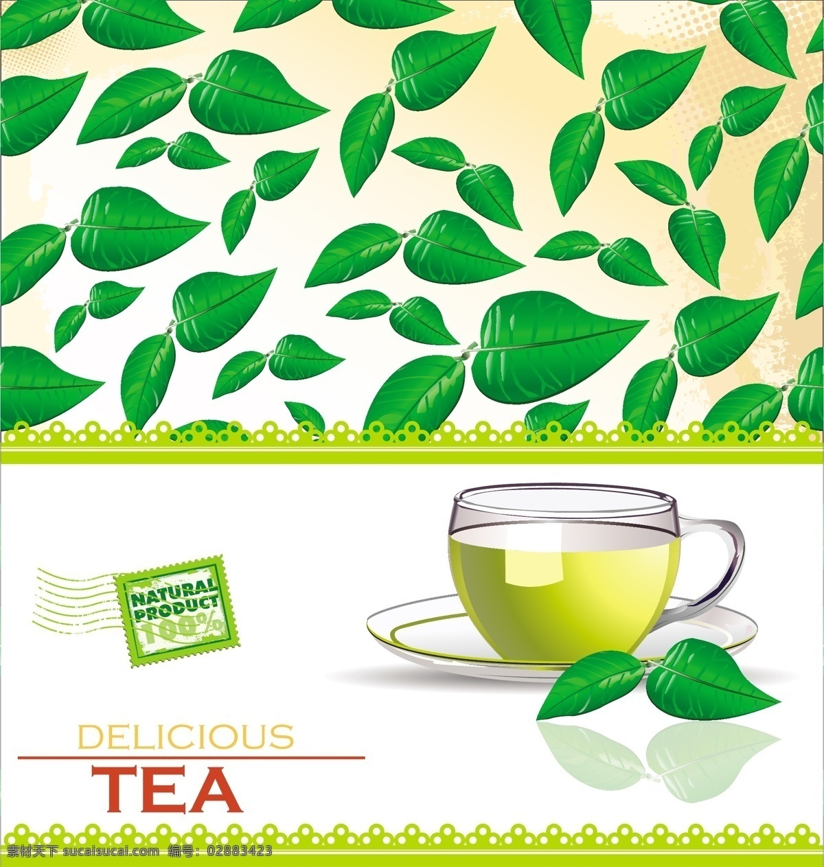 矢量茶叶菜单 茶叶背景 菜单封面 矢量玻璃茶杯 绿茶 矢量茶叶 矢量茶杯 茶水饮料 生活百科 矢量素材 白色