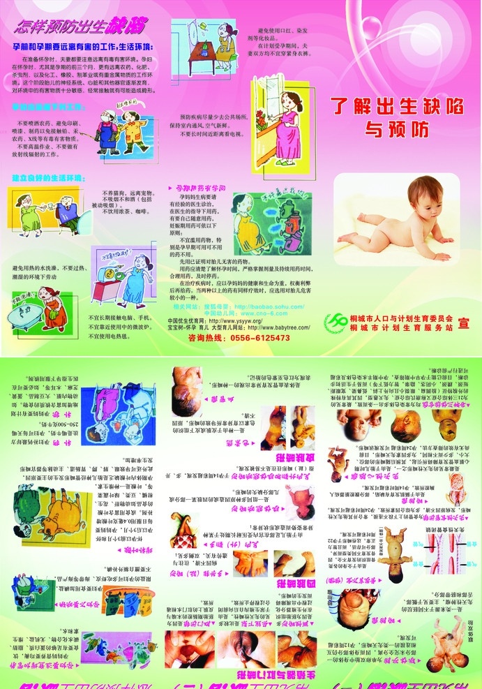 出生 缺陷 预防 预防出生缺陷 了解 三折页 人口与计生 矢量