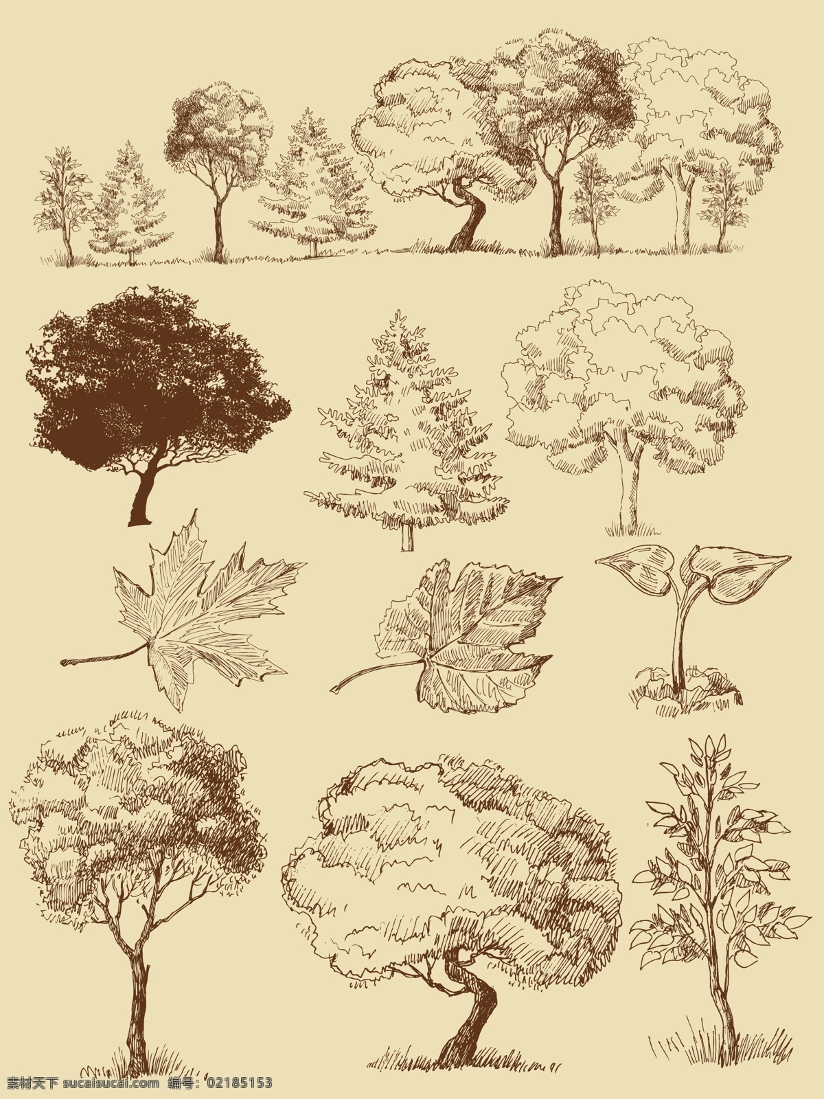 手绘树木树叶 手绘 树木 树叶 圣诞树 枫叶 剪影 素描 矢量 植物主题 树木树叶 生物世界