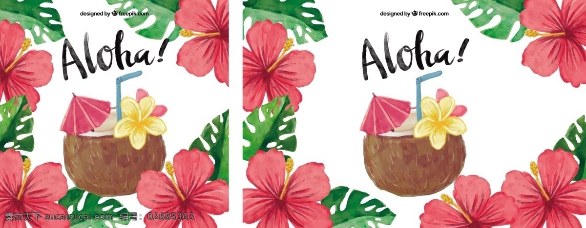 水 椰子 鸡尾酒 aloha 背景 颜色 花卉 夏季 花卉背景 树叶 热带 水彩画 菠萝 夏威夷 季节 热带花卉 背景花