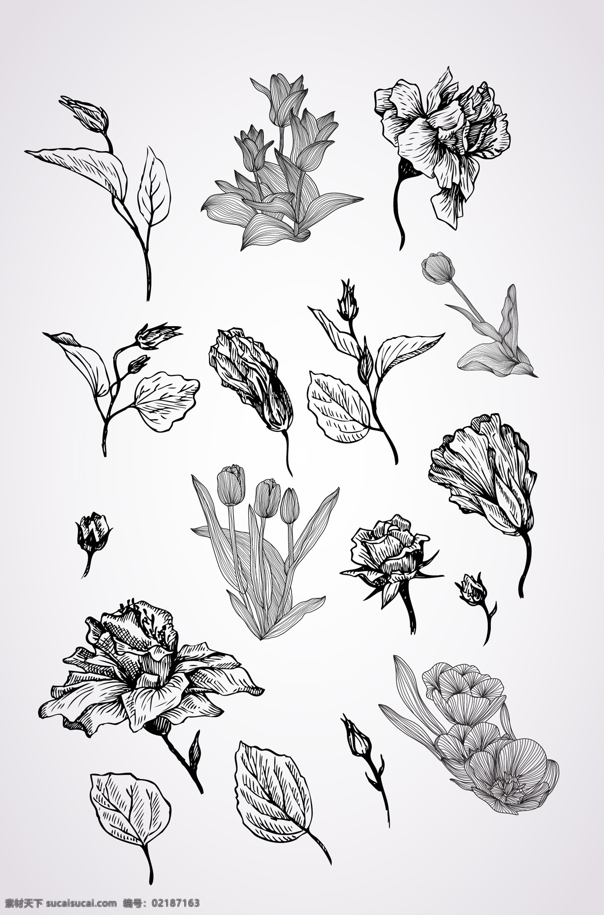 黑白花卉花朵 花朵 花卉 花卉花朵 花卉边框 花朵花卉植物 花卉花朵矢量 单个 元素 矢量 素 底纹边框 花边花纹