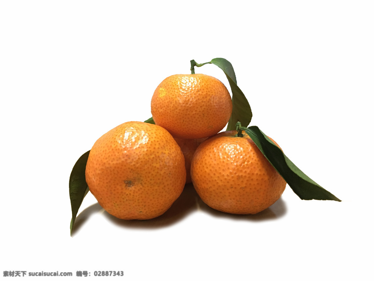 砂糖橘 橘子 柑橘 橘 甜橘 蜜桔 桔 桔子 自然景观
