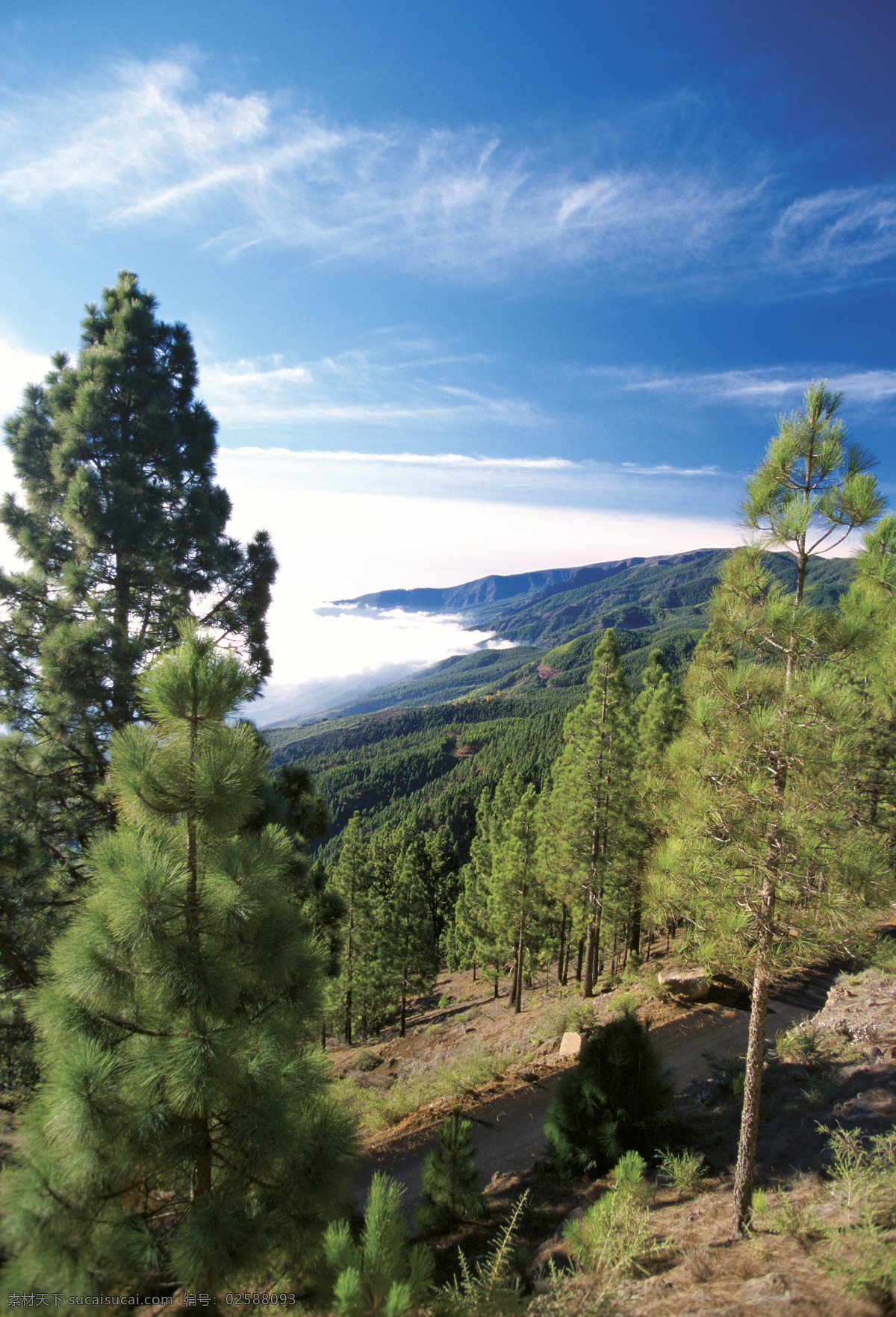 青山绿树 森林 蓝天 白云 自然 旅游摄影 国外旅游 摄影图库